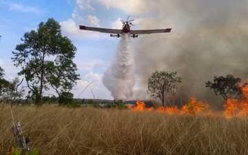 Imagem Bombeiro do DF é um dos únicos equipado com avião de combate a incêndios