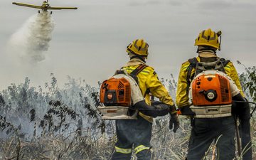 Os números superam os dados de 2021, quando foram lançados 19,5 milhões de litros de água - Agência Brasil/Marcelo Camargo