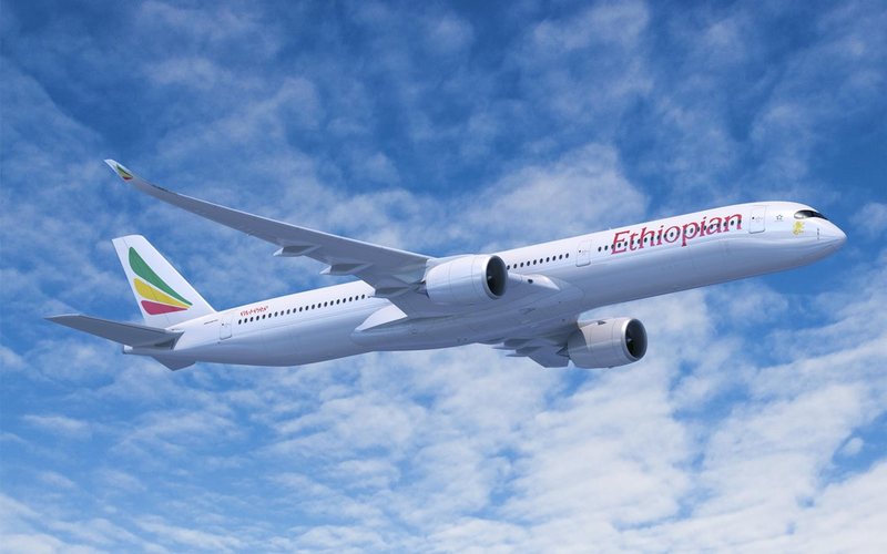 Aeronave poderá receber cerca de 400 passageiros, dependendo da configuração - Airbus/Divulgação