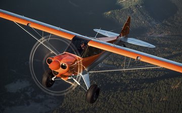 Carbon Cub FX-3