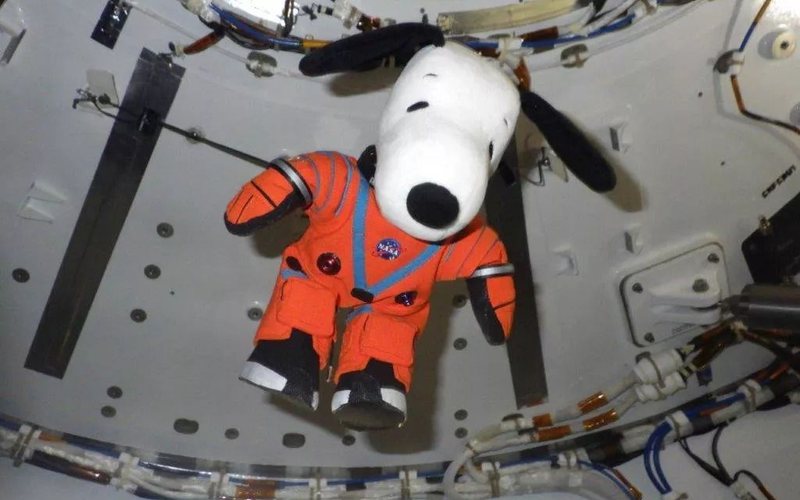 Snoopy já participou de duas missões lunares históricas