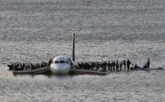 Ocupantes do voo US1549 sobre as asas do A320 nas geladas águas do Hudson - NTSB