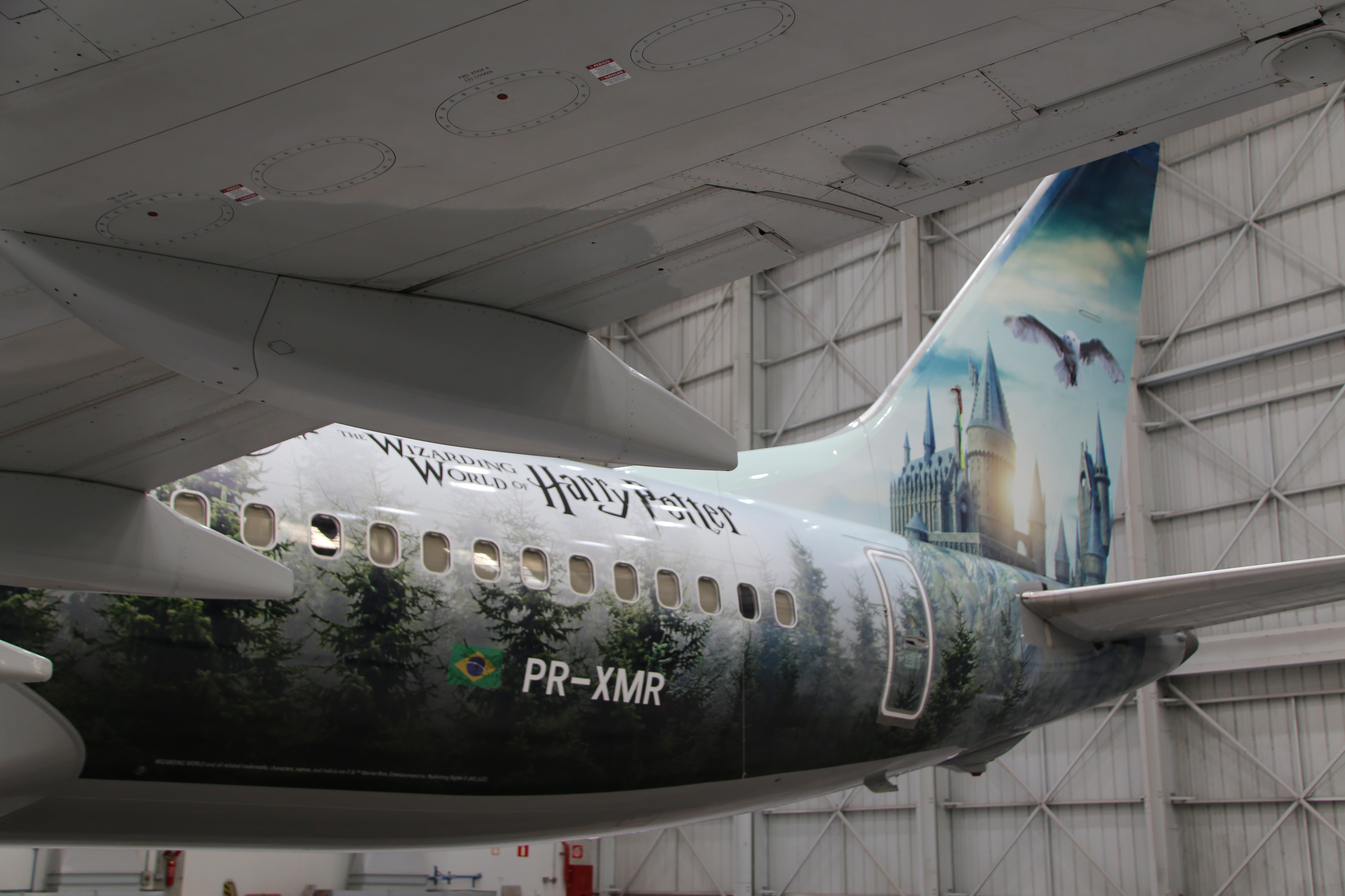 Boeing 737 MAX Harry Potter