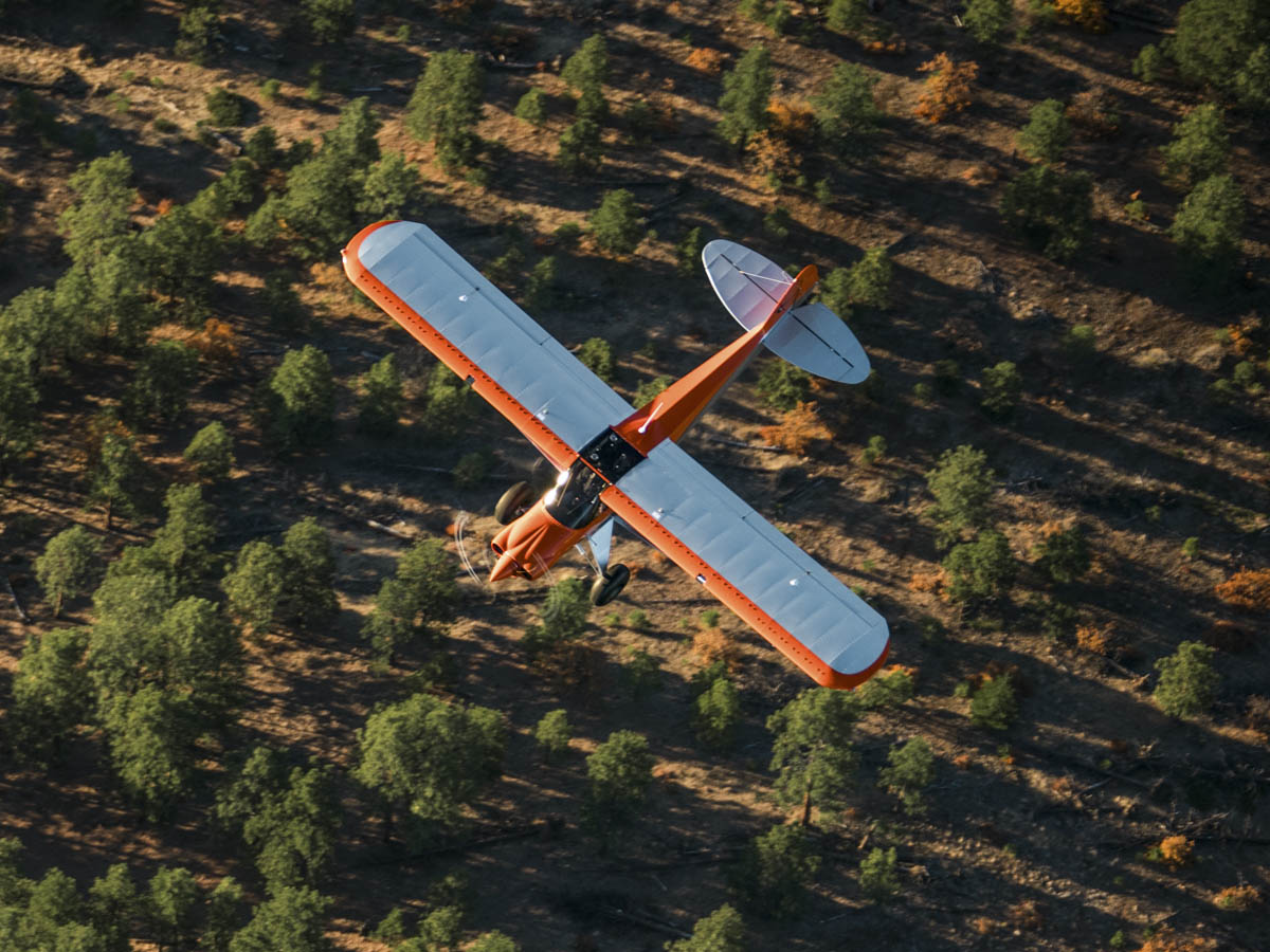 Carbon Cub FX-3