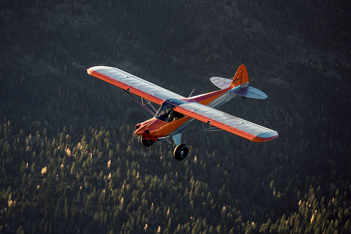 Carbon Cub FX-3