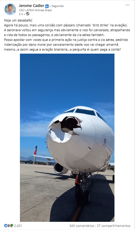 LinkedIn LATAM Avião Bird Strike