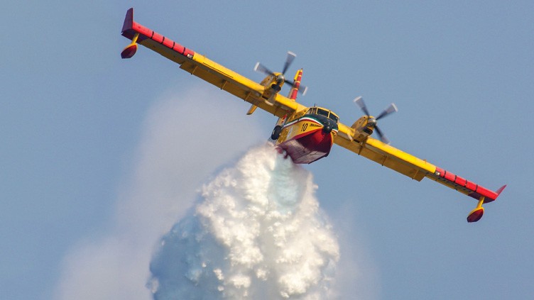 Apague o fogo com um balde de água. incêndios florestais no verão. plano