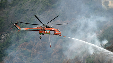 Apague o fogo com um balde de água. incêndios florestais no verão