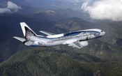 O dia em que um salmão colidiu com um Boeing 737